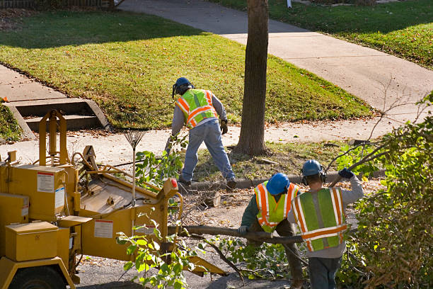 Landscape Design and Installation in Whittingham, NJ